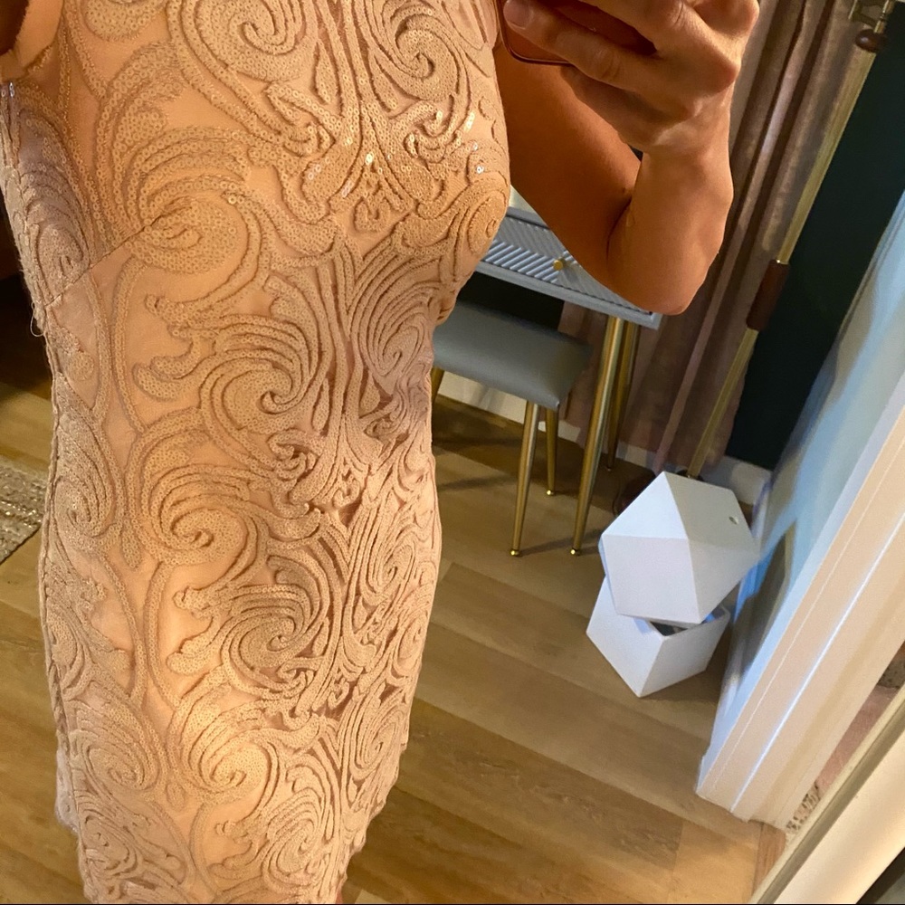 Vince Camuto Blush Lace Dress - Picture 9 of 13
